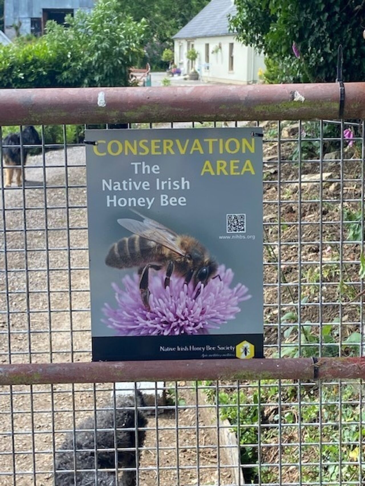 Native Irish Honey Bee Conservation Areas and the work of the Native Irish Honey Bee Society Romi Garden Gate IMG 5016