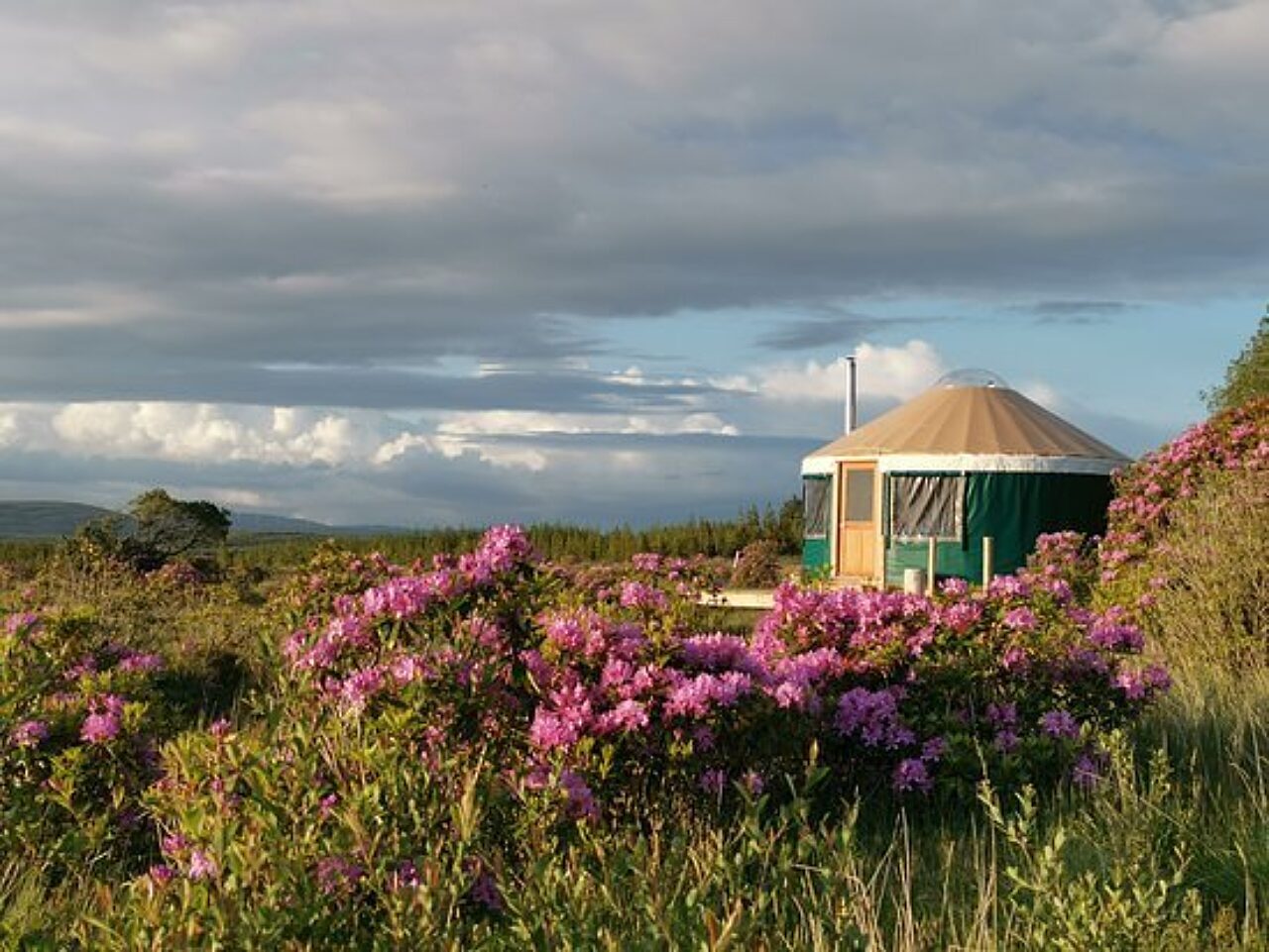 The bog yurt